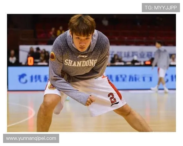 丁彦雨航复出之路：重返赛场背后的坚持与挑战