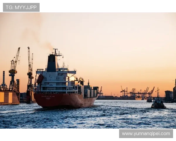 上海海港奋力打造世界一流现代化国际航运枢纽中心 上海海港奋力打造世界一流现代化国际航运枢纽中心