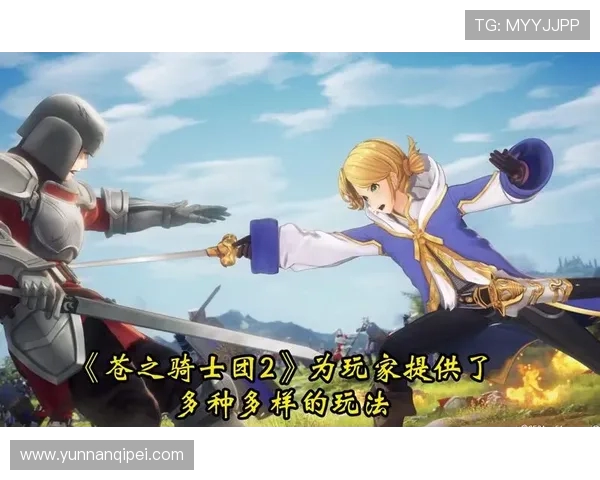 以骑士中路为核心解析游戏策略及角色优势深度剖析