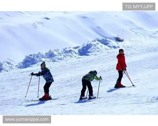 篮球运动：突破极限，挑战自我，超越梦想