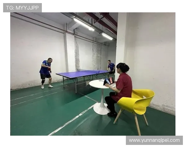 乒乓乐园：挥拍间的快乐时光