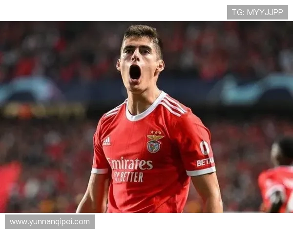 本菲卡足球俱乐部的辉煌历史与未来发展潜力探析