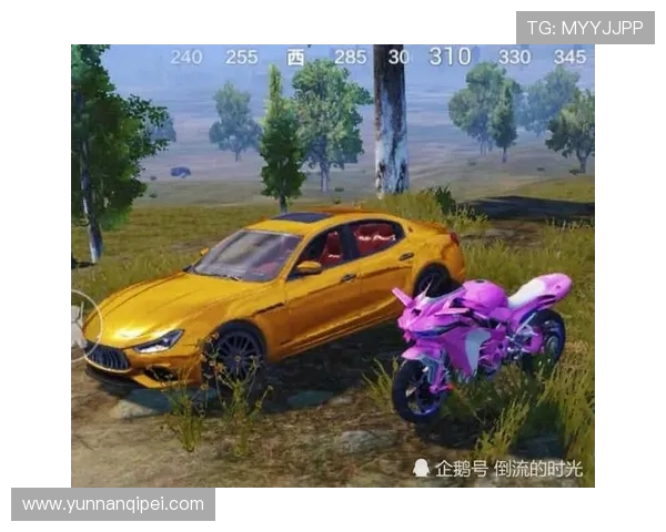 和平精英热议:WE战队状态引发玩家热烈讨论与争议 和平精英热议:WE战队状态引发玩家热烈讨论与争议