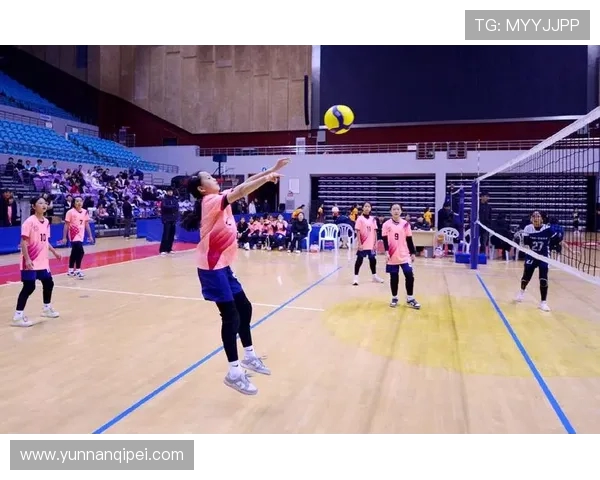 杭州排球队的节奏与魅力探秘：排球运动的激情与团队精神
