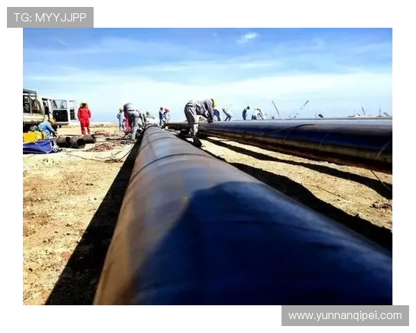 西安极限运动队速度之争引发热议与关注的背后故事