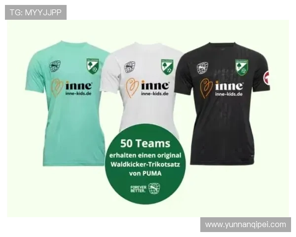 赛后分析：北京足球队与上海足球队的团队协作表现及其影响因素探讨