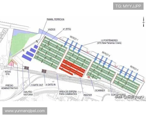 东南锦菲律宾对阵新加坡的精彩赛事分析与前瞻展望
