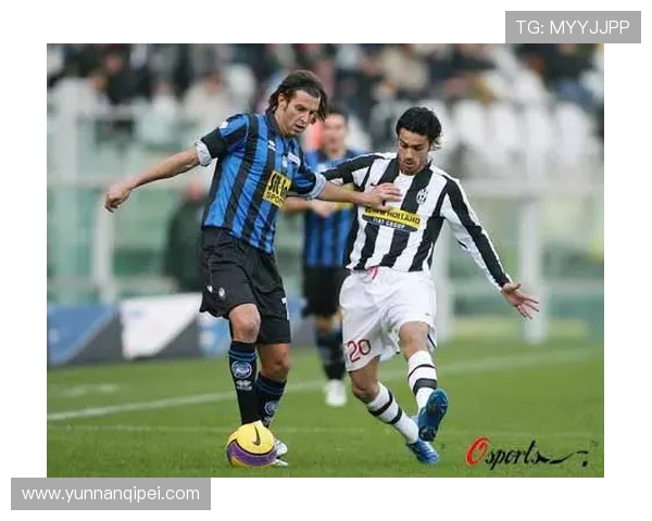 乌鸡与亚特兰大激战正酣谁能在这场对决中笑到最后 乌鸡与亚特兰大激战正酣谁能在这场对决中笑到最后