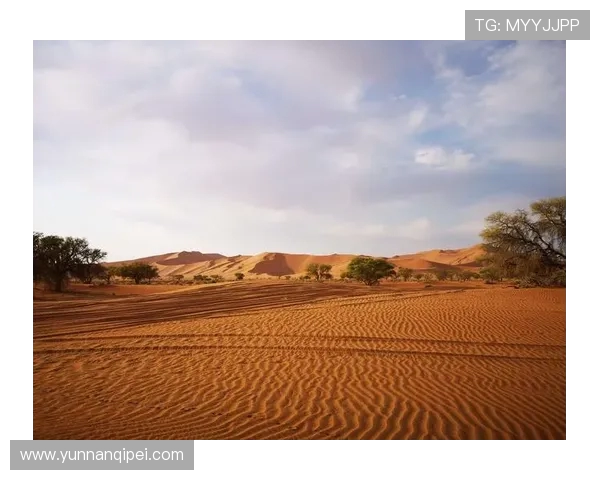 南非与纳米比亚激战正酣谁能在这场较量中脱颖而出